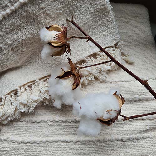 Pastel Boho Blanket – Mushroom