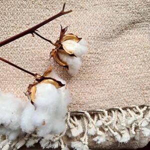 Pastel Boho Blanket – Mushroom